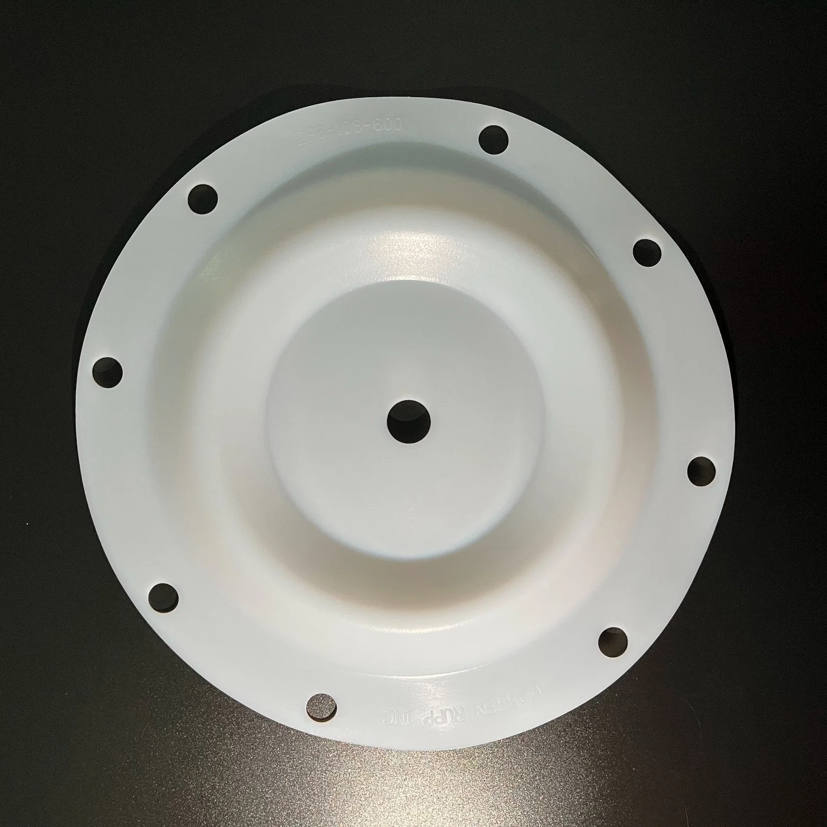 Corrosion Resistance PTFE Diaphragm Pump Accessories for Diaphragm Pump