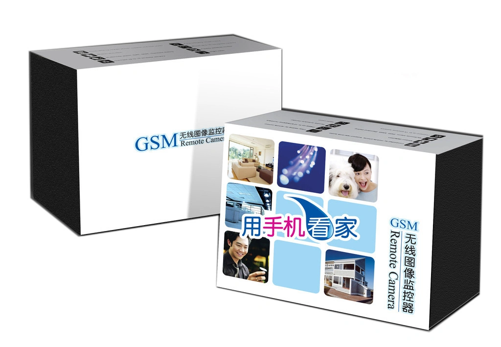 Custom Printing Information Technology Paper Packaging Boxes and Various Boxes