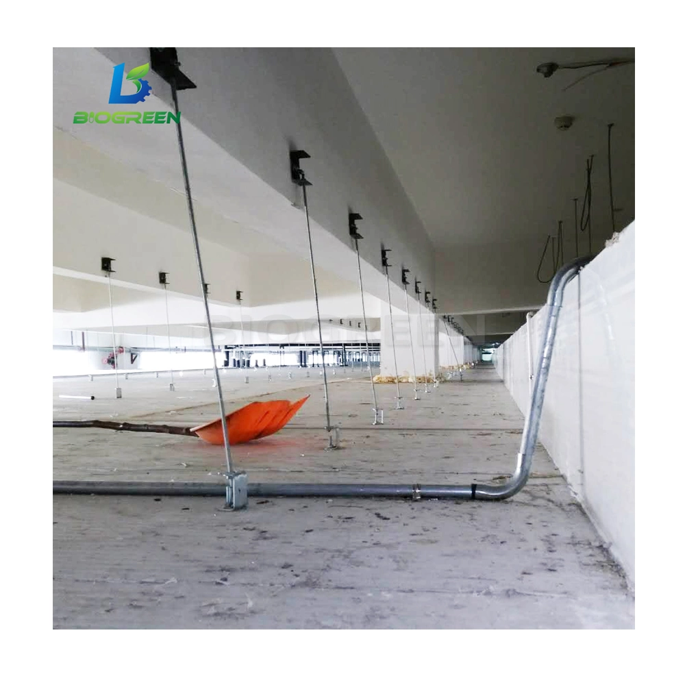 Oversea Project Installation Construction Fresh Fruits Cold Stores Storage Cold