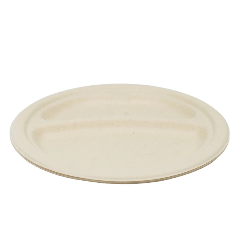 Biodegradable Sugarcane Bagasse Plates, Rectangle, Go-Green Eco-Friendly 100% Compostabledisposable Pulp Dish