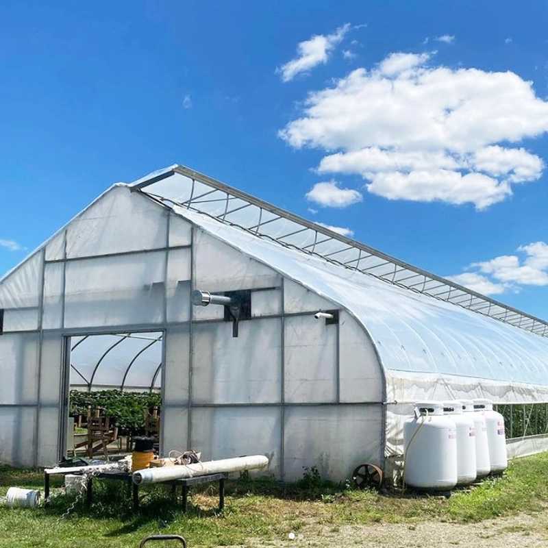 Custom UV 200 250 micrones Agricultural Multi Plastic Greenhouse politeno Cubierta de plástico de PE película para Greenhouse