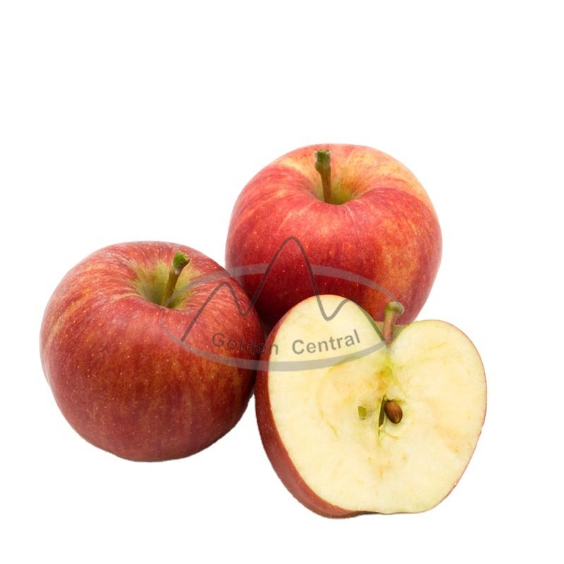 High Europe Quality China Fresh FUJI Apple in 56-64-72 Size