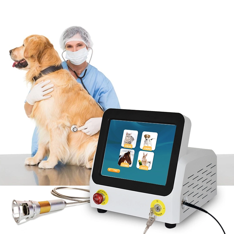 Popular Sale Professional Veterinary Instrument Therapy for Pain Relief and Healing in Pets and Larger Animals Device