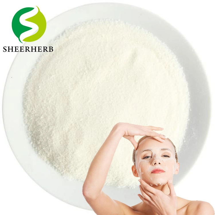 Die Fabrik Verkauft Qualitativ Hochwertige Bulk Nutrition Supplement Fish Collagen Peptide Rohstoff Hydrolysiertes Fisch Collagen Pulver mit Halal