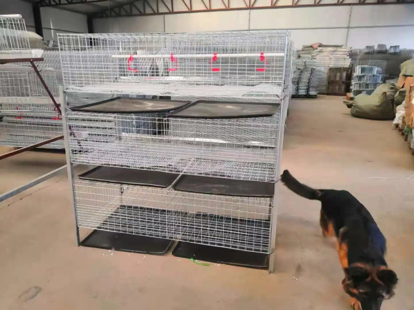 Automatische Uganda Geflügel Farm Huhn Automatische Huhn Broiler Cage