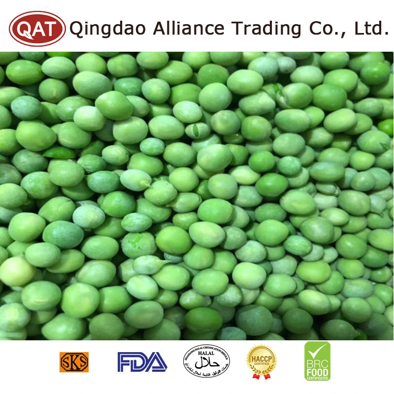 Venta caliente Global Organic Frozen Guisantes guisantes congelados IQF nieve de la salud y verde jardín guisantes para la exportación