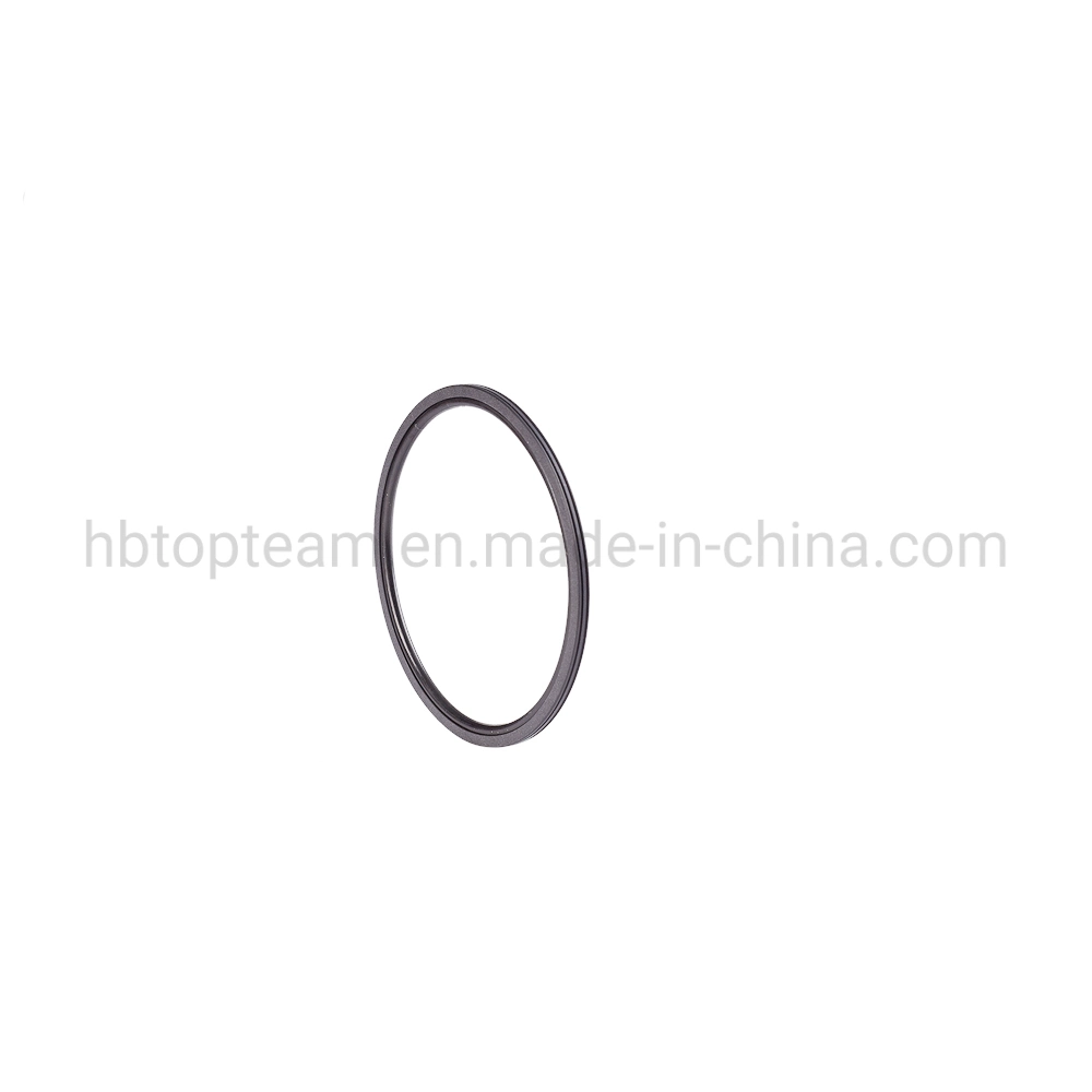 China Manufacturer Oep/Tg4/M16/Oq/Yrb/SKD/Gns Hydraulic Cylinder Double-Action Piston Rotary Glyd Seal Ring