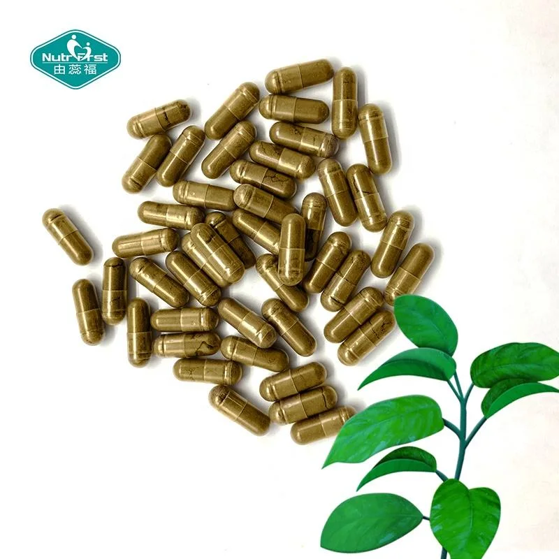 Suppléments vitamine C Gymnama Sylvestre herbes extraits Capsules pour cardiovasculaire Système