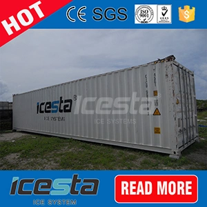 Icesta Ce Confirmed Crane System Design Block Ice Machine