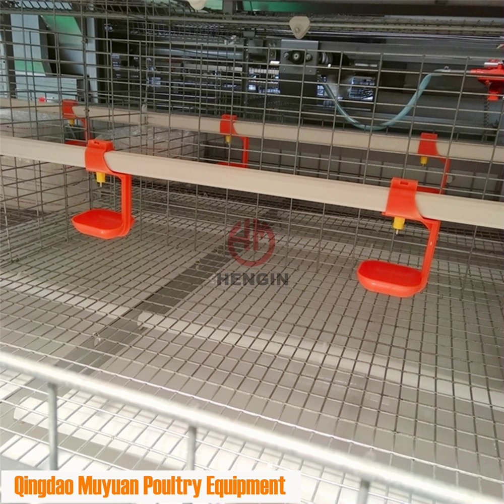 H-Type Baby Layer Chicken Pullet Cage for Philippines Poultry Farm