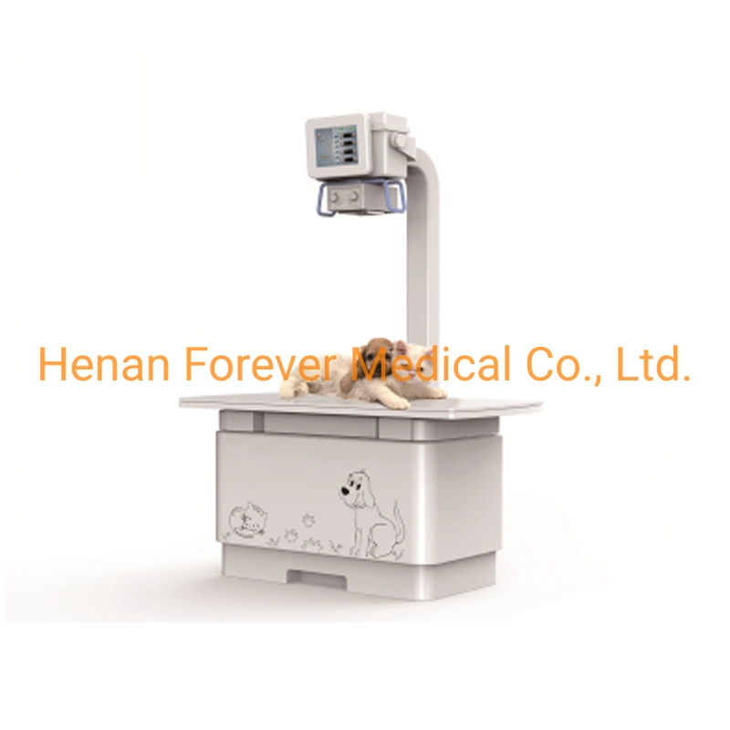 Veterinary Diagnostic High Frequency Mobile Digital Medical Animal Flaw Detection X-ray Machine