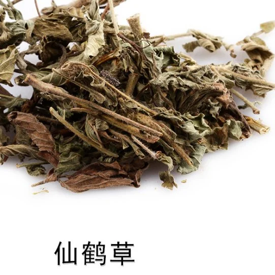 شيان هو تساو التقليدي الصيني طب الأعشاب أجريمونياي هيربا