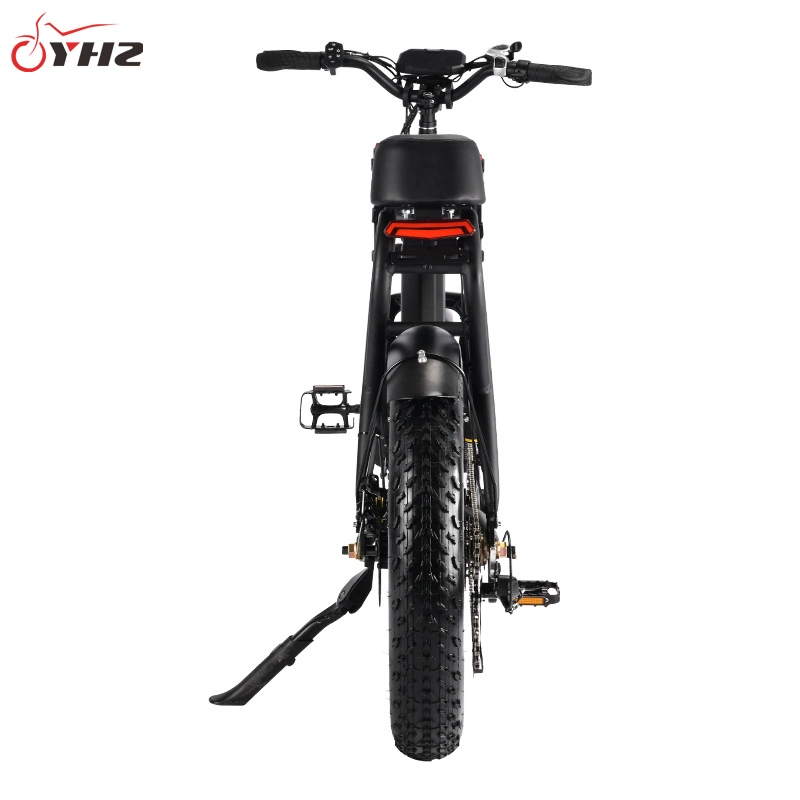 Available From Stock in USA 500W48V15ah Lithium Battery Electric Bicycle Bike