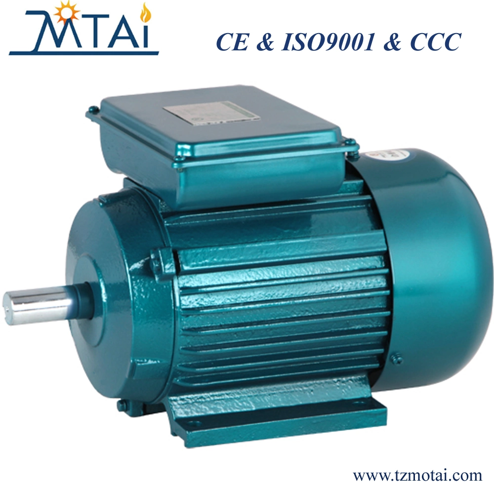 Cast Iron YY Single Phase Capacitor-Run Electric Motor