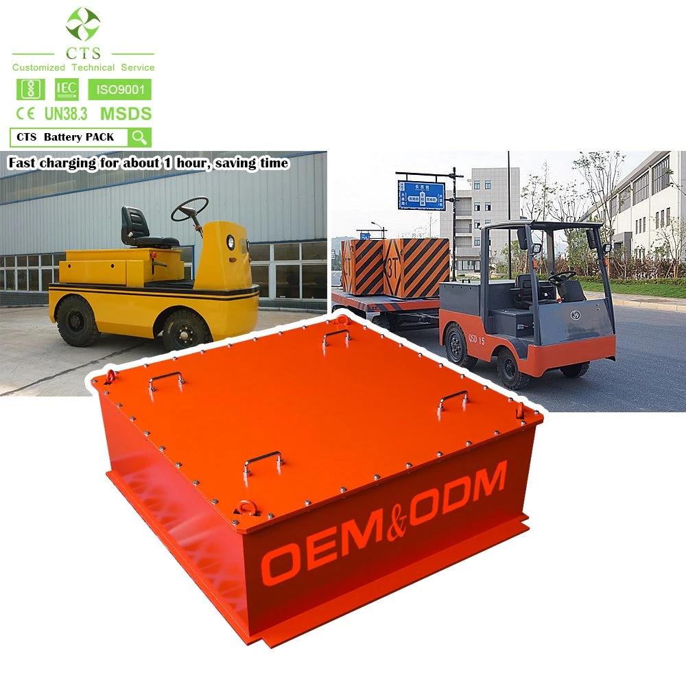 Cts OEM Deep Cycle 48V 302ah LiFePO4 Battery 15kwh for Low-Speed Car Electric Tramcar