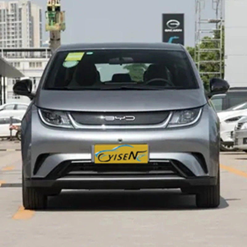 Hot-Selling New Energy Electric Vehicle with High Appearance