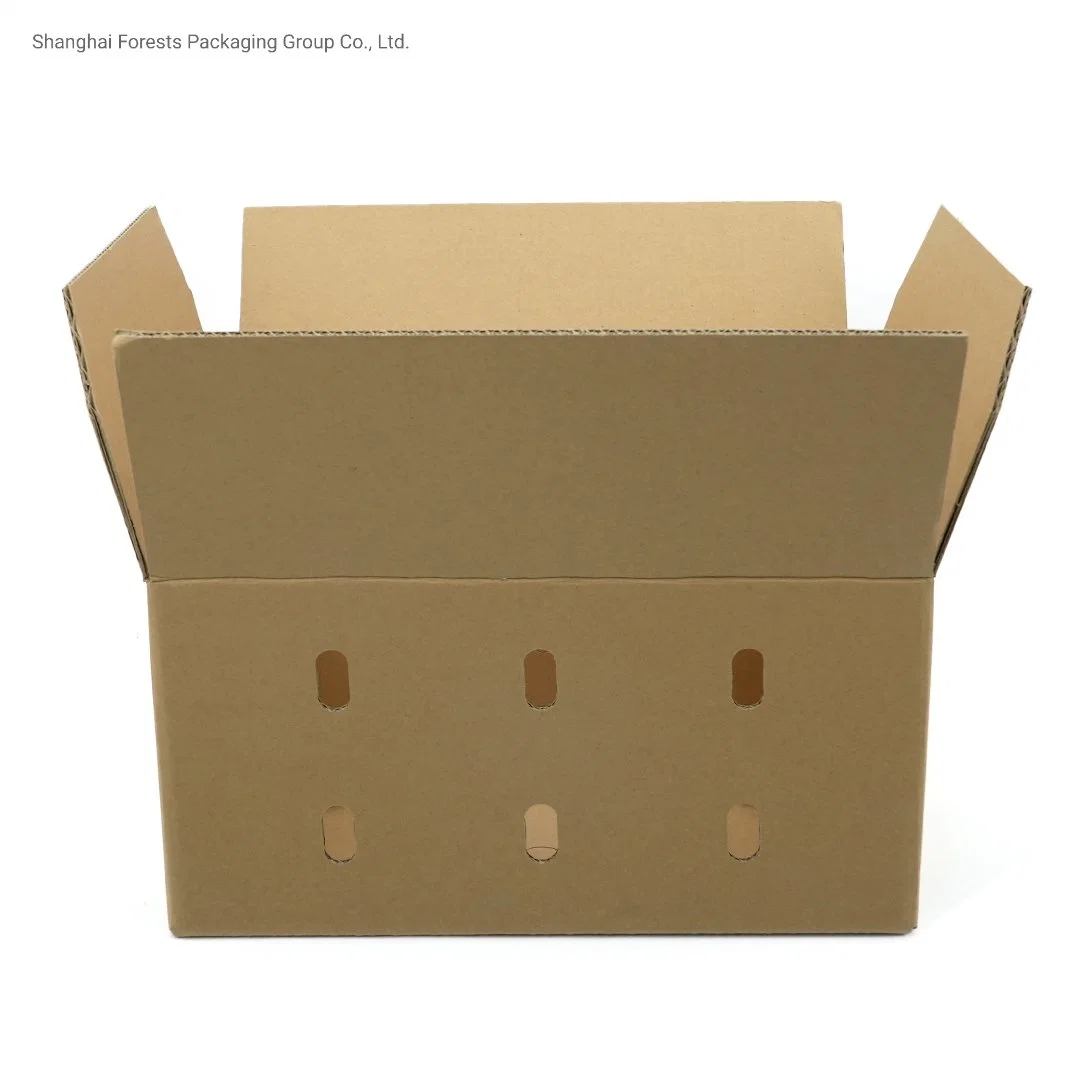 Wholesale/Supplier Corrugated Handle Box Air Holes Shipping Carton Flower Box