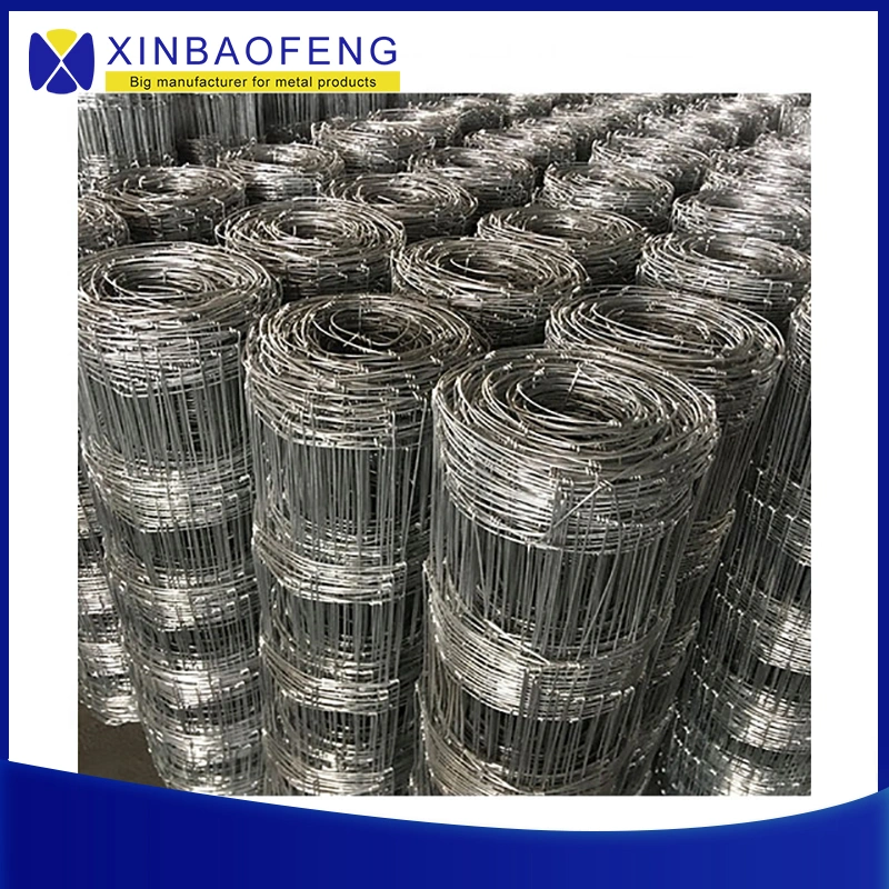 Hot Dipped Galvanized Steel Wire Mesh Farm/Cattle Fence