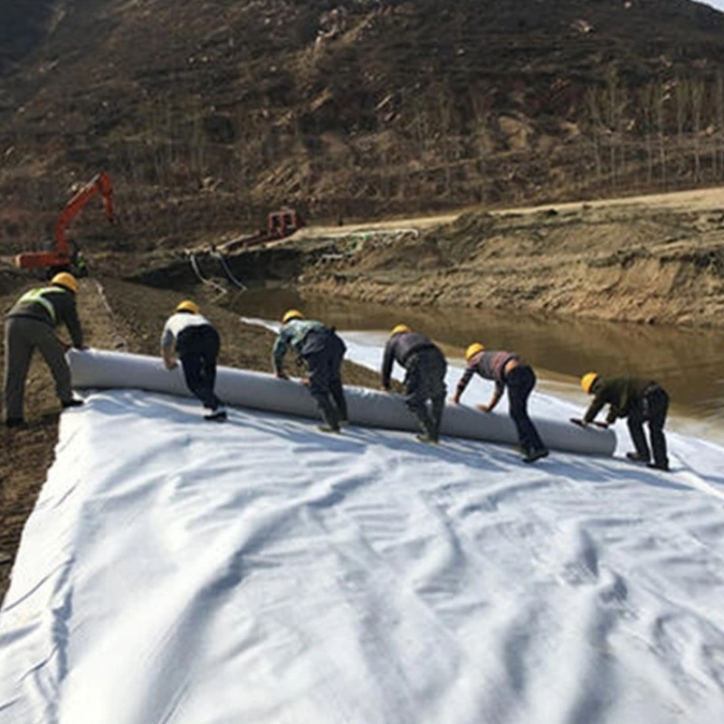 Pet PP Geo Fabric UV Treated Agriculture Nonwoven Geotextile