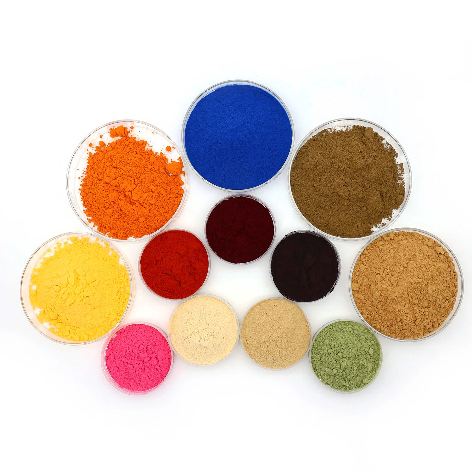 Factory Supply Echinacea Flower Extract Powder Chicoric Acid 2%-4%