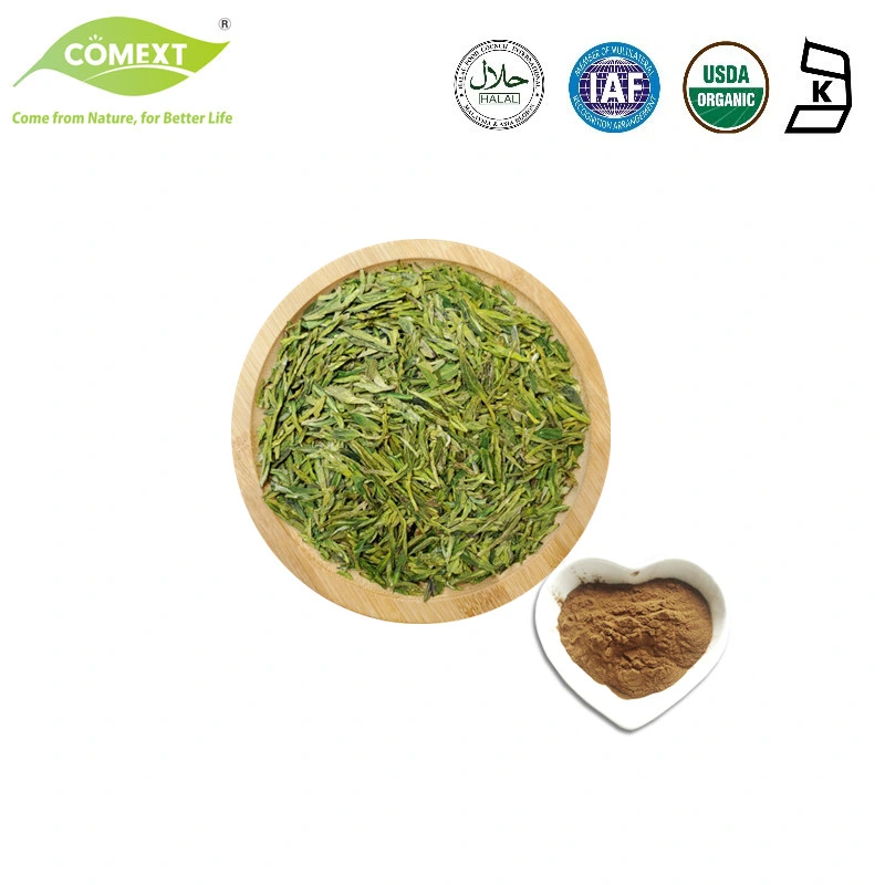 OEM ODM Servicio Comext &amp;Camellia Sinensis extracto de té verde el 25% Polifenoles