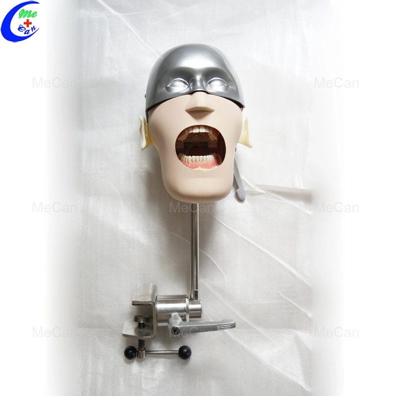 نموذج الرأس البسيط من الفولاذ المقاوم للصدأ، رأس فانتوم الأسنان