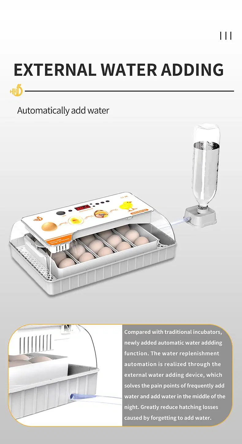 Hhd 20 Eggs Automatic Quail Egg Poultry Incubator Temperature Controller Thermostat for Sale