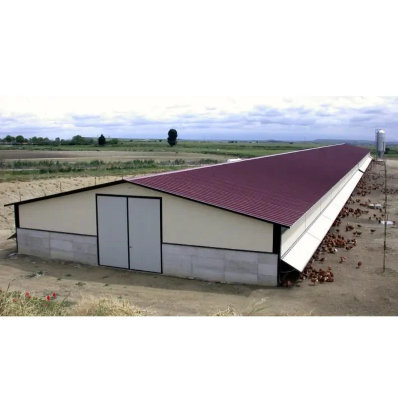 Galvanized Steel Structure Poultry House Windproof Steel Chicken House