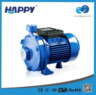 Égoûts électriques en acier inoxydable centrifuge Booster Deep Well Peripheral Self-Priming Pompe à eau solaire puissante et immergée haute pression d'irrigation Jet Clean