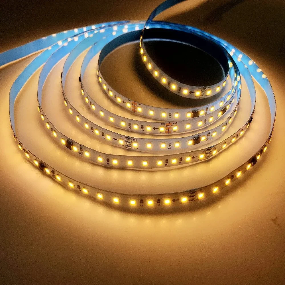 40m 30m 20m 10m Running Water Flowing LED Strip Light DC24 Ws2811 SMD2835 Horse Race Pixel Addressable Flexible Linear Lamp Set