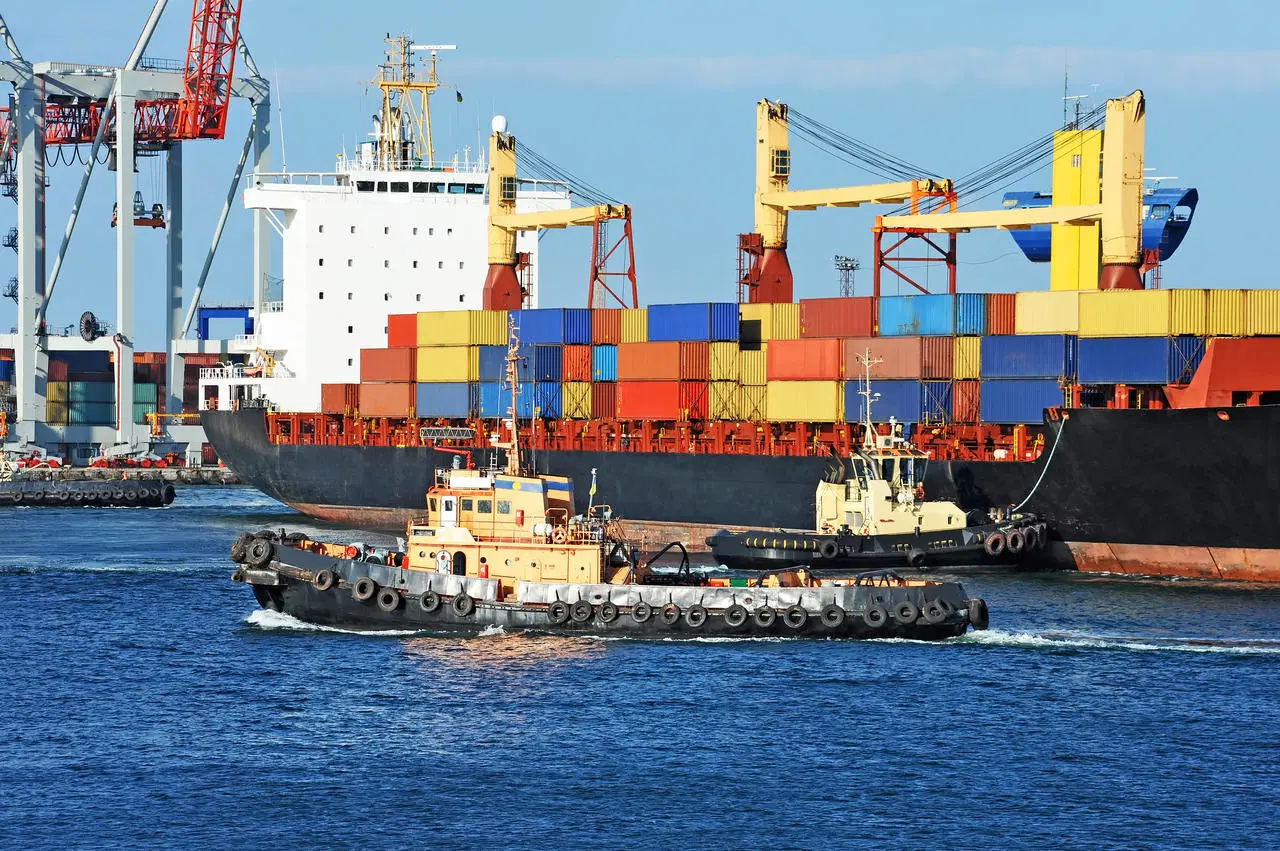 Cheapest Sea Freight/Professional Shipping Agent Shipping Cargo to UK Freight Forwarder