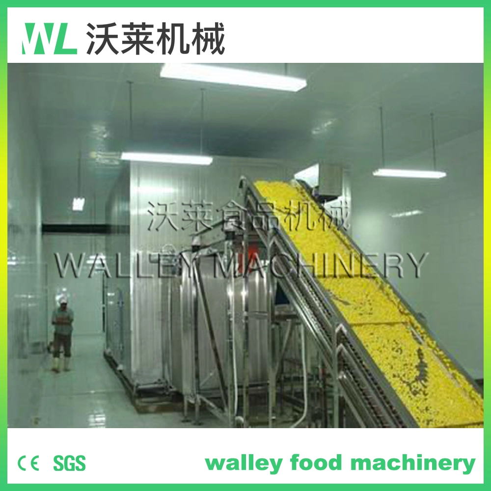 4000kg Stainless Steel Quick Freezer IQF Machine for Berries and Fruits