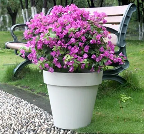 Home Decor Flower Pots for Indoor Plastic Planters