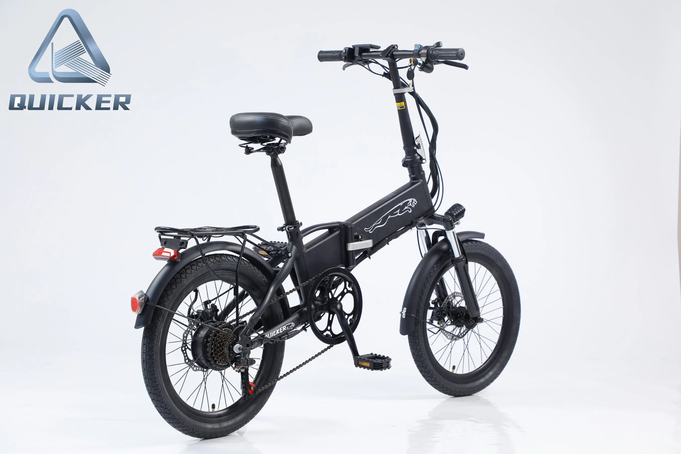 250W 20inch Folding Electric Bike Electric Mini Bike China Lieferant