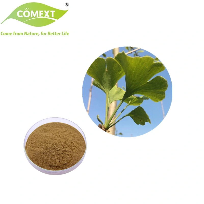 Comext ISO Halal Kosher Certificated Wholesale/Supplier Price 24% Total Flavones Powder Ginkgo Biloba Extract Lower Blood Pressure