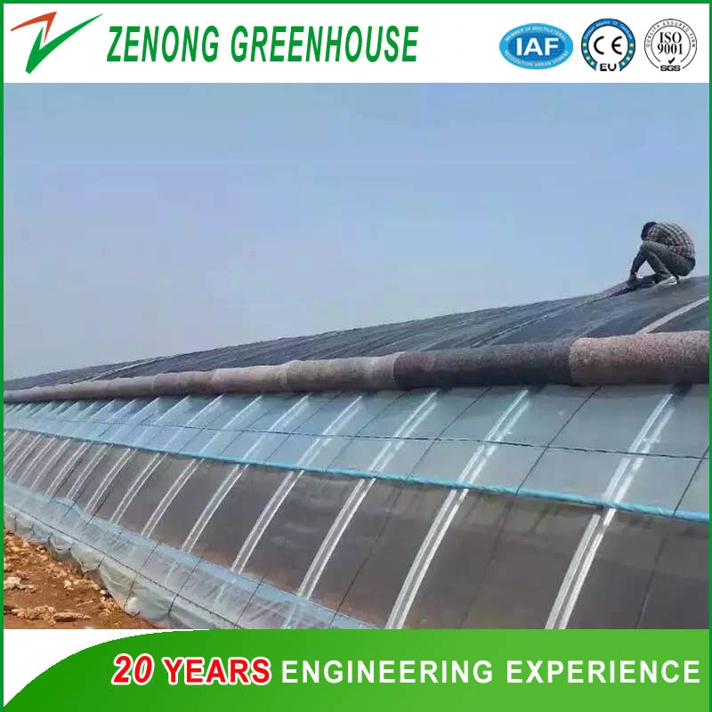 Heat Insulation Solar Greenhouse for Agriculture Planting in Winter