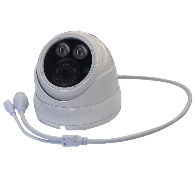 HD 700tvl 1/3 Sony CCD CCTV Security IR Infrared Day Night Dome Audio Mic Camera