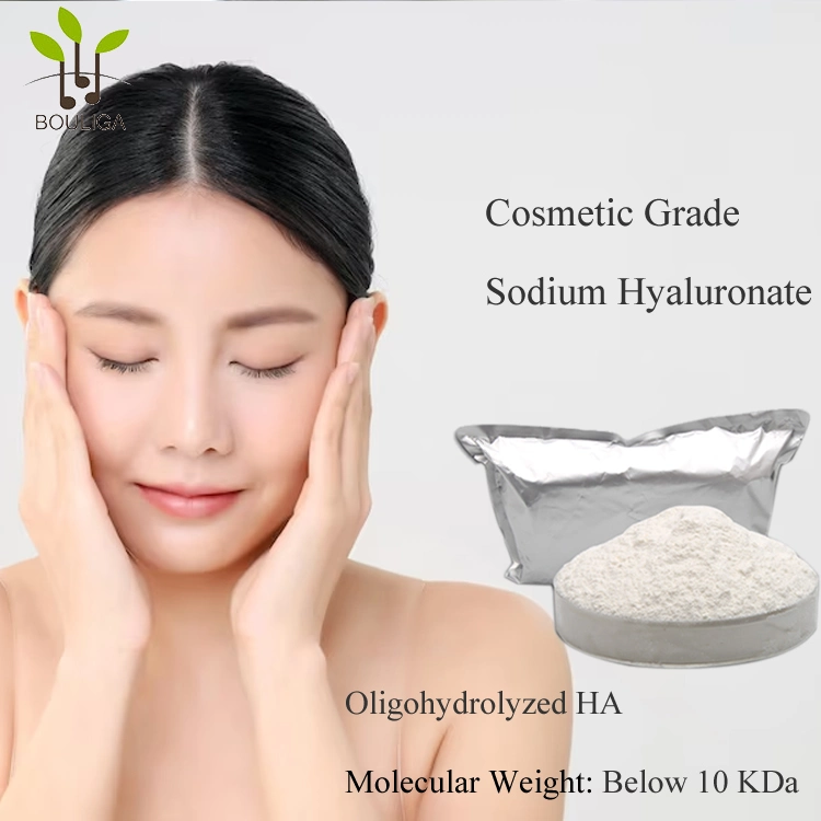 Beleza de alta qualidade formulações cosméticas de pele produtos matéria-prima sódio Ácido hialuronato em pó preço