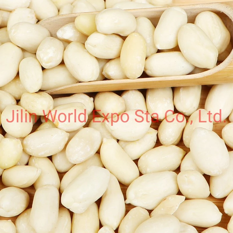 China Raw Blanched Peanut Kernels 36/41 for Food