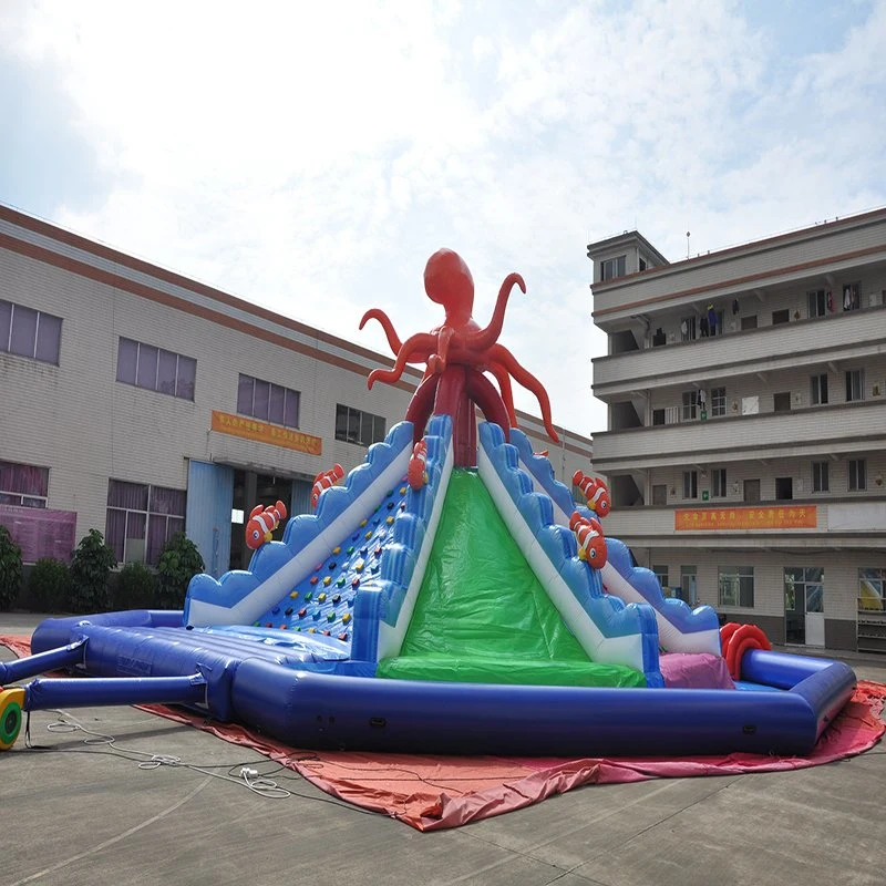 Octopus Water Park Inflatable Amusement Game (AQ01733)