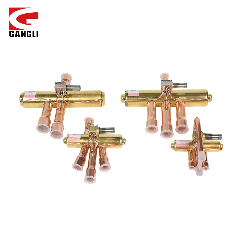 China Factory Gangli High Quality Aluminum Defrosting Valve for Air Conditioner