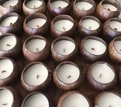 Scented Soy Coconut Shell Candles Wood Wick Scented Candles