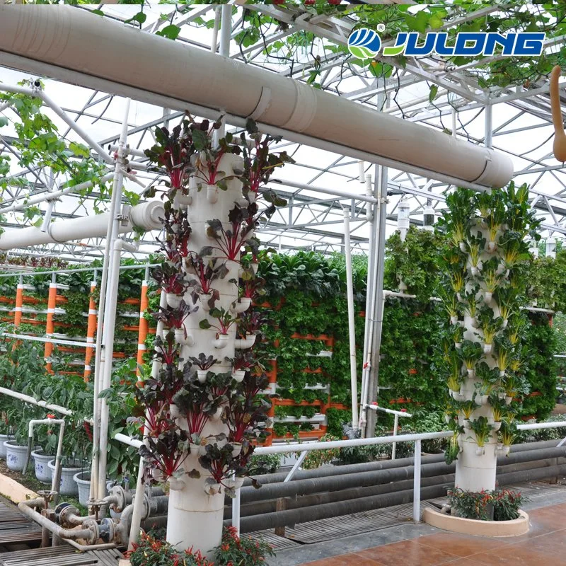 Hydroponics System Greenhouse Grow System with Automatic Control