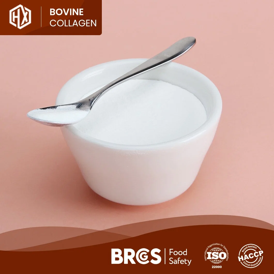 Haoxiang Quality Bovine Bone Collagen OEM Customized Flavourless Pure Bovine Collagen China Manufacturers One-Stop Service Cheap Price Collagen Peptides Gelatin