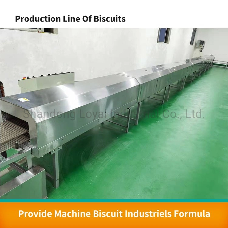 Healthy Biscuit Machine Fully Automatic Big Output Dog Biscuits Machine Soft and Hard Biscuit Production Line