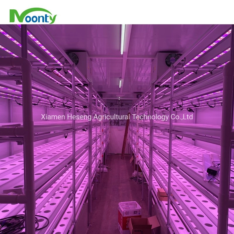 Customized Nft Hydroponics Grow System Agricultural Farm Vertical Grow System for Strawberry Cucumber Pepper