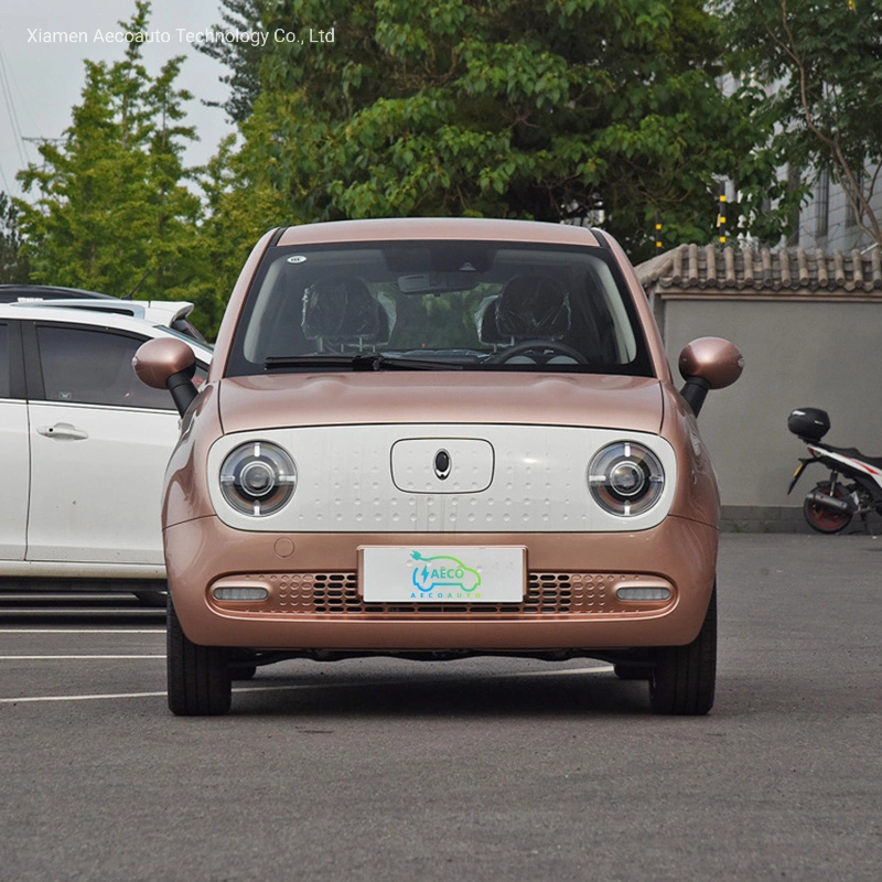 New Small Mini Electric Vehicles Cars