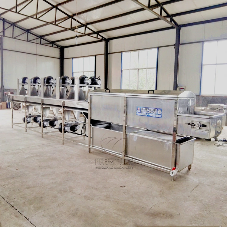 Vegetable/ Fruit Washing/Cleaning Machine for Industrial Use/Washer