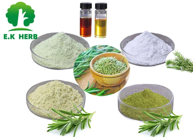 E. K Herb Factory Top-Qualität natürliche Antioxidantien Carnosic Acid 5%-95% Lebensmittelkonservierungsmittel Rosmarinsäure Ursolsäure Carnosic Acid Powder Rosmarin Extrakt