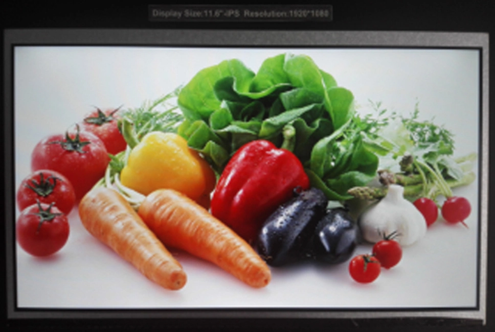 11.6 Inch 1920X1080 TFT IPS Panel, 2L-Edp Interface, 350 C/D